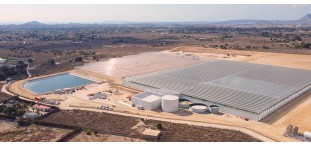 TOMATES LIS STEPS INTO THE FUTURE OF HORTICULTURE IN SPAIN